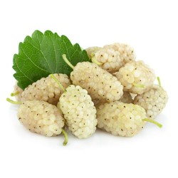 Черница облагородена едра бяла