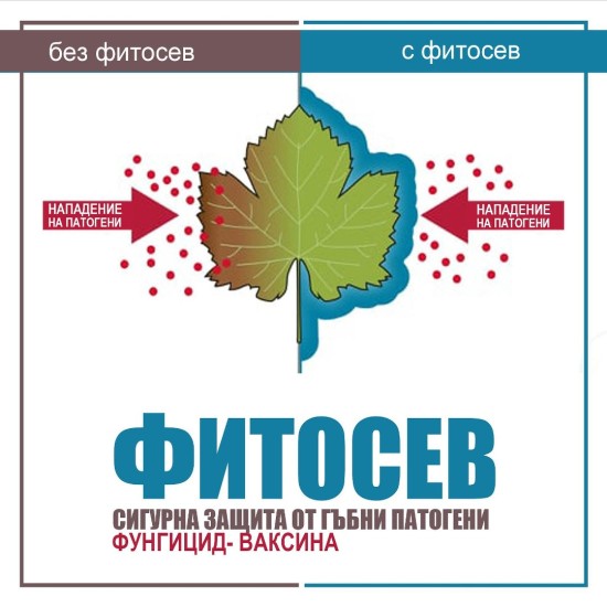 Фитосев Биологичен Фунгицид 
