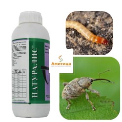 Натуралис - Биологичен инсектицид с Beauveria bassiana