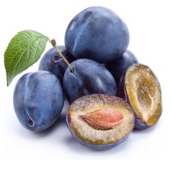 Слива Стенлей 