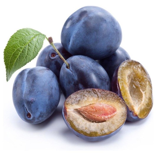 Слива Стенлей 