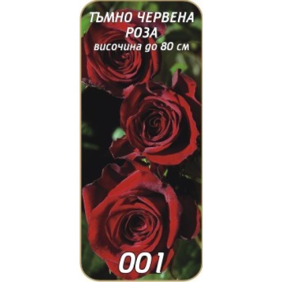 Роза тъмно червена