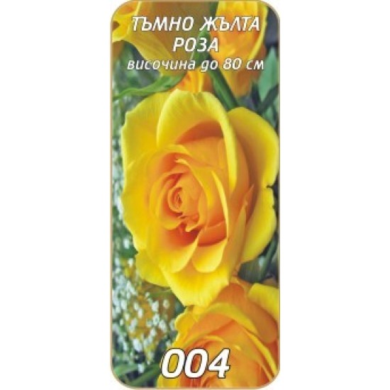 Роза тъмно жълта