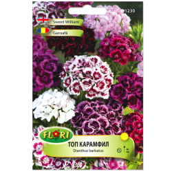 Карамфил Топ микс FLORI