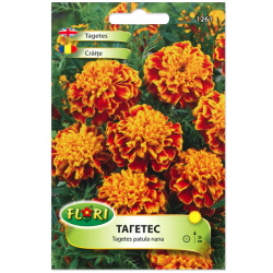 Тагетес FLORI