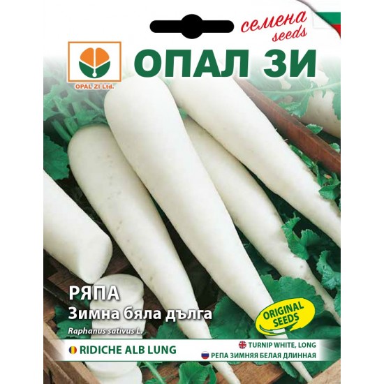 Ряпа зимна бяла дълга