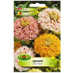 Циния едра микс FLORI