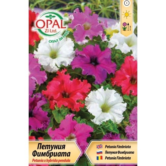 Петуния Фимбриата микс