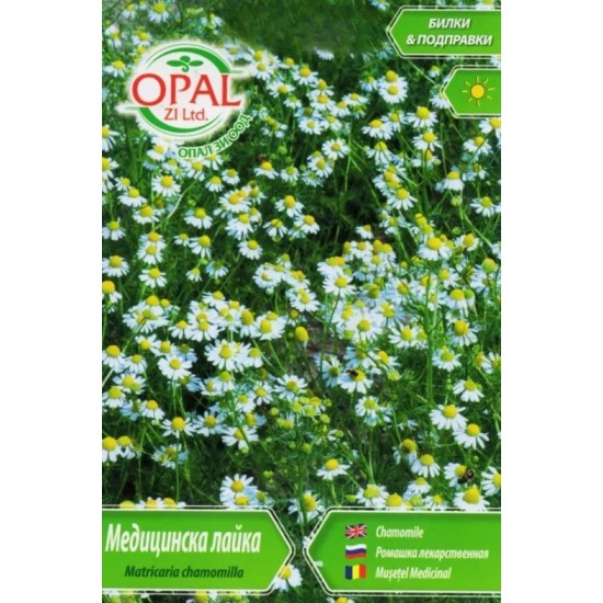 Медицинска лайка /Matricaria chamomilla/