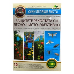 Лепящи листове сини 10бр 