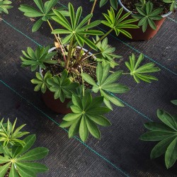 Покривало против плевели от тъкан текстил 70гр. PP черно UV, 1.1 х 10м