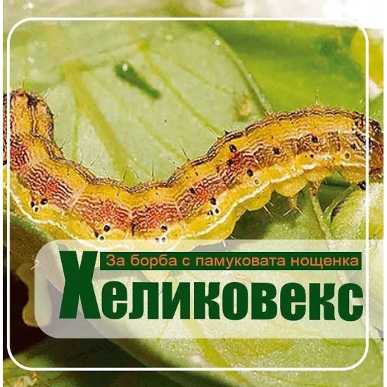 Хеликовекс - Биологичен инсектицид срещу памукова нощенка