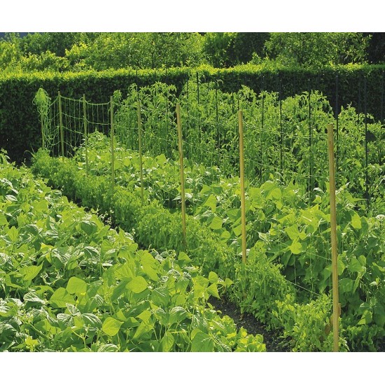 Мрежа за краставици 